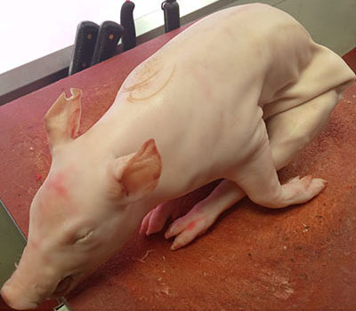 fotografía de un cochinillo en la mesa de corte