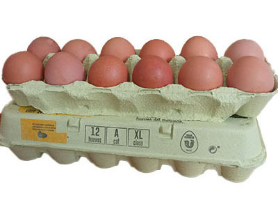 fotografía de dos caja de huevos